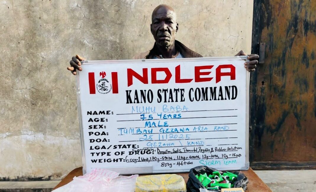 NDLEA Arrests 75-Year-Old Man for Alleged Drug Peddling in Kano NDLEA Arrests 75-Year-Old Man for Alleged Drug Peddling in Kano